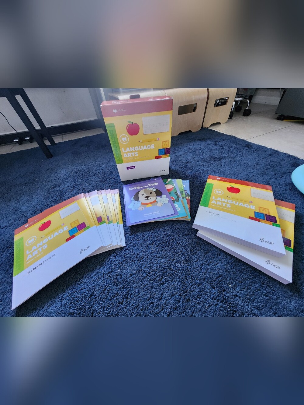 LifePac 1st Grade Language Arts Curriculum NIB